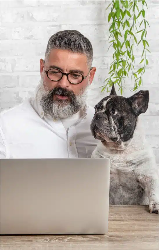 Diseño de páginas web profesionales