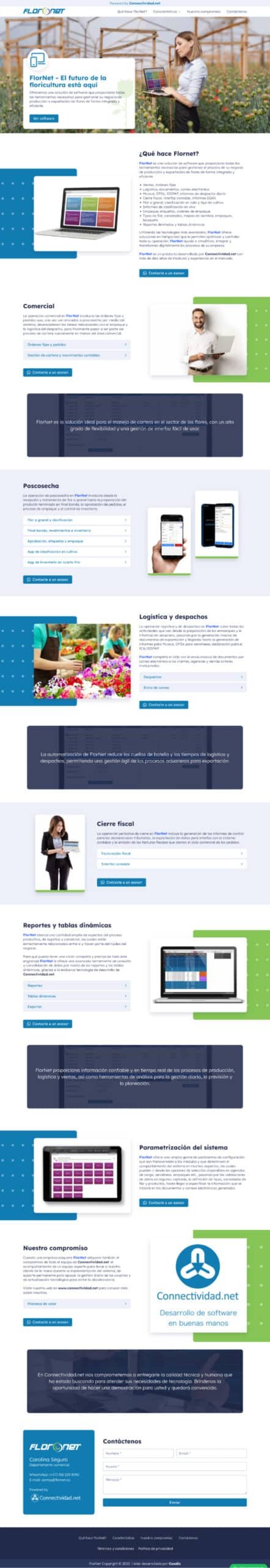 Diseño web profesional para empresas